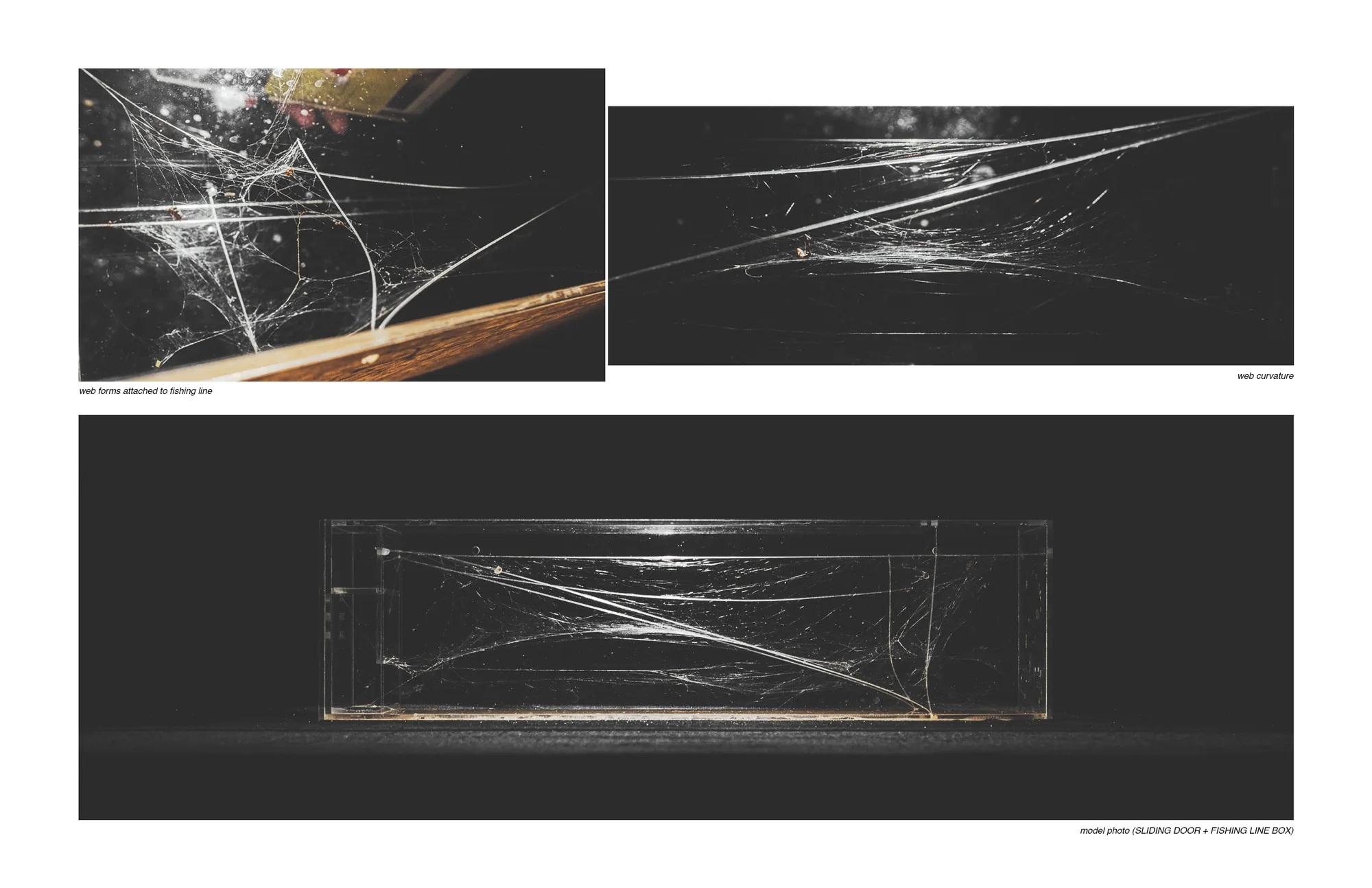 sliding door + fishing line box — web forms attached to fishing line