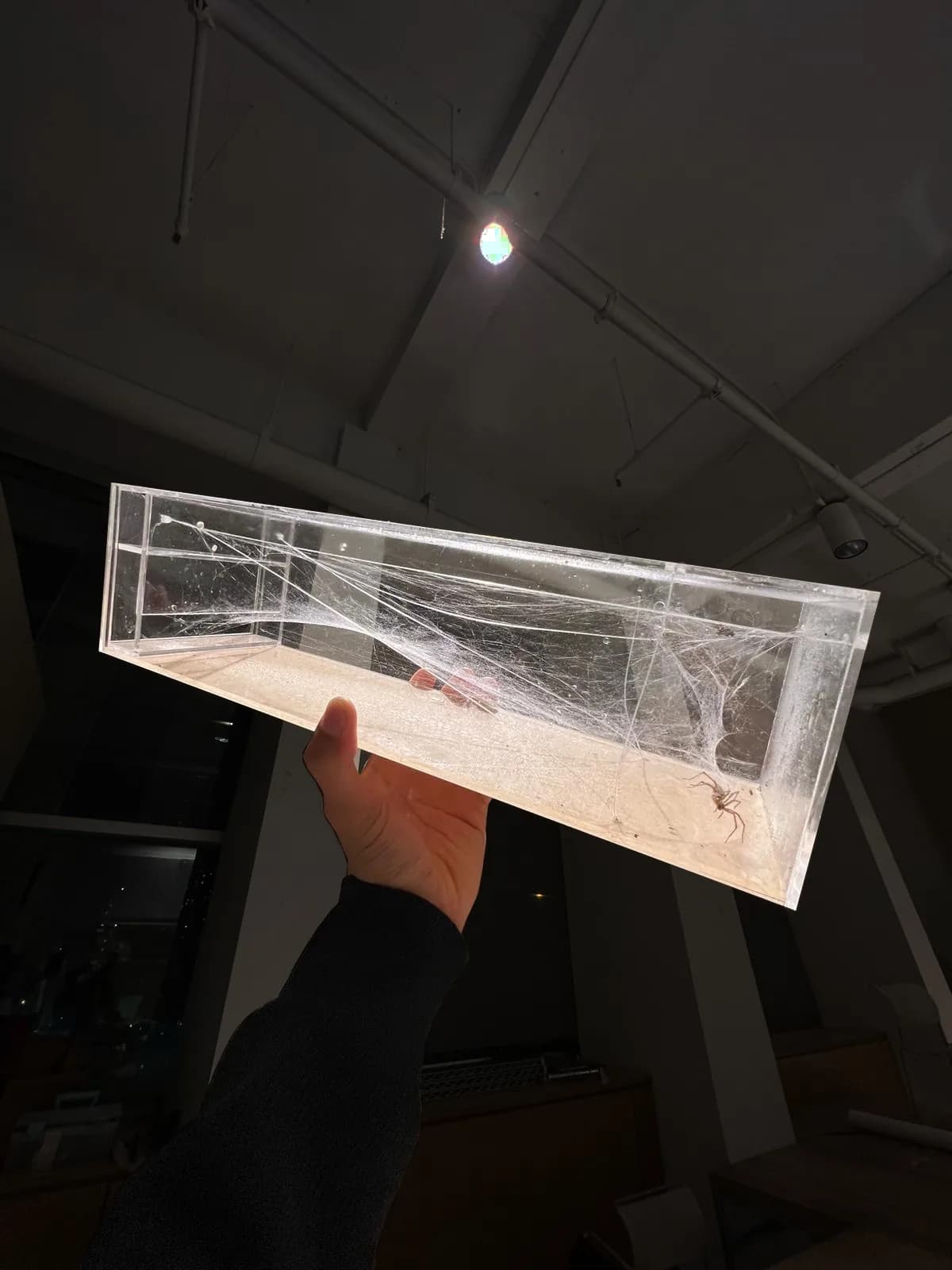 habitat in hand, studio — October 2021